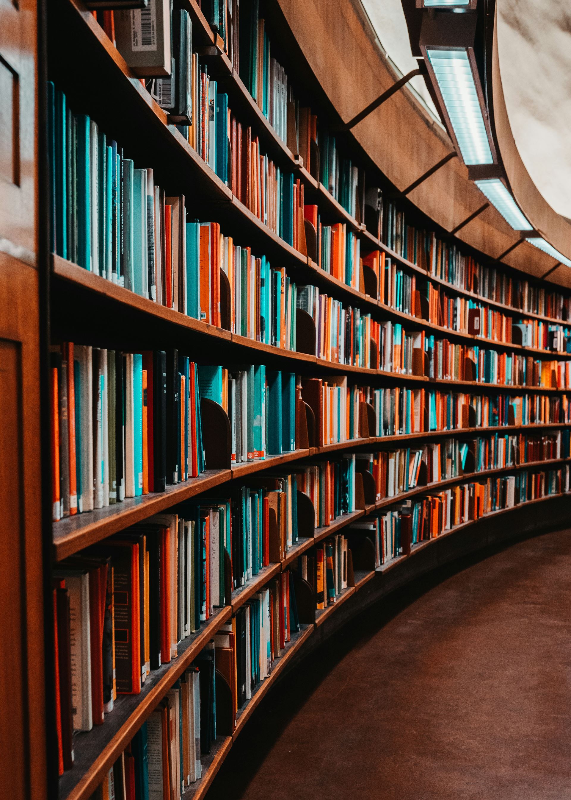library shelf with books